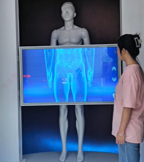 禁毒展厅互动滑轨屏 人体扫描滑轨屏 禁毒互动多媒体